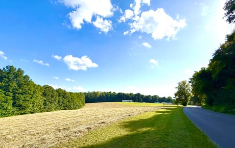 765 Henson Ridge Road, Liberty, KY 42539 — photo 2