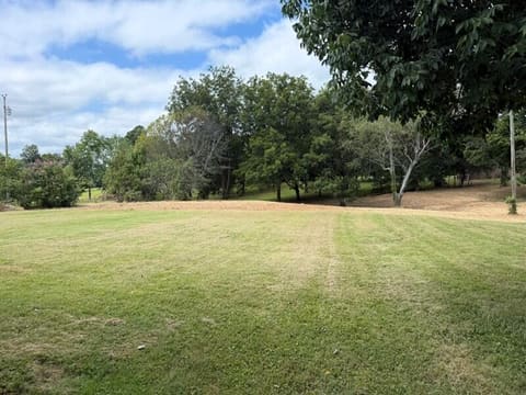 9005 US-45, Wingo, KY 42088 — photo 4