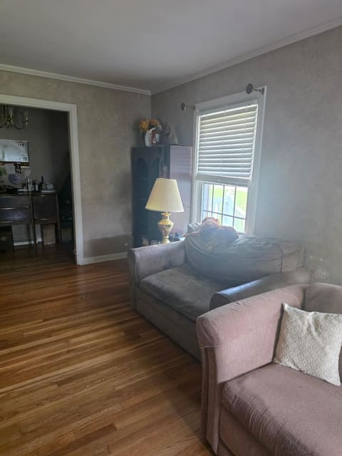 211 Fairlane Drive, Mayfield, KY 42066 — photo 4