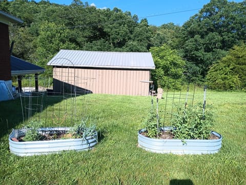 620 Henson Creek Road, Liberty, KY 42539 — photo 2