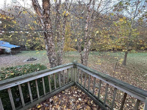 612 Little Indian Drive, Jamestown, KY 42629 — photo 5