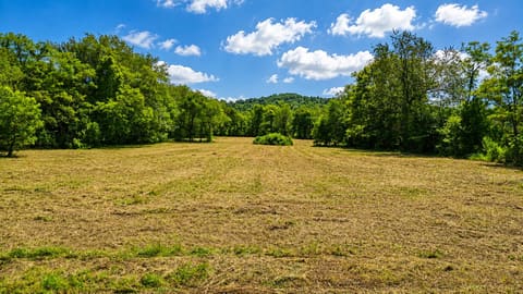 6250 Kentucky 198, Hustonville, KY 40437 — photo 4