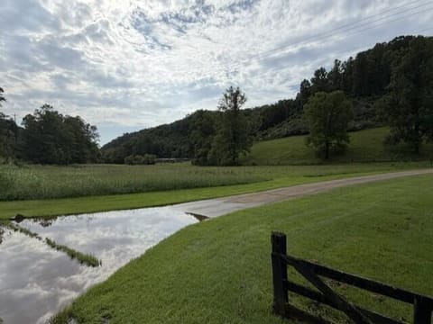 91 91 Mudlick Br Branch, Prestonsburg, KY 41653 — photo 5
