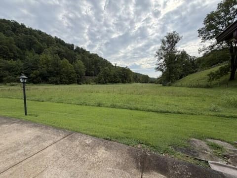 91 91 Mudlick Br Branch, Prestonsburg, KY 41653 — photo 3