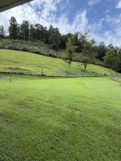 91 91 Mudlick Br Branch, Prestonsburg, KY 41653 — photo 4