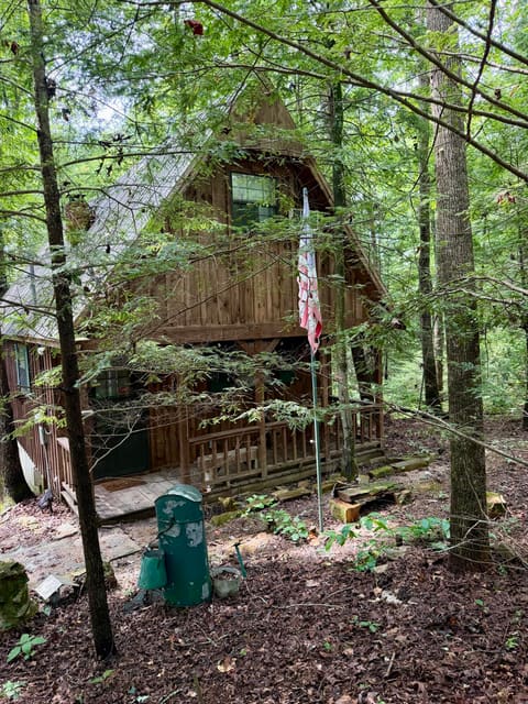 161 Stephen Road, Wellington, KY 40387 — photo 4