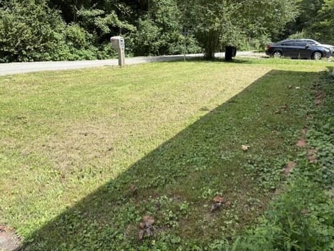 1112 Forest Park Lane, Paintsville, KY 41240 — photo 2