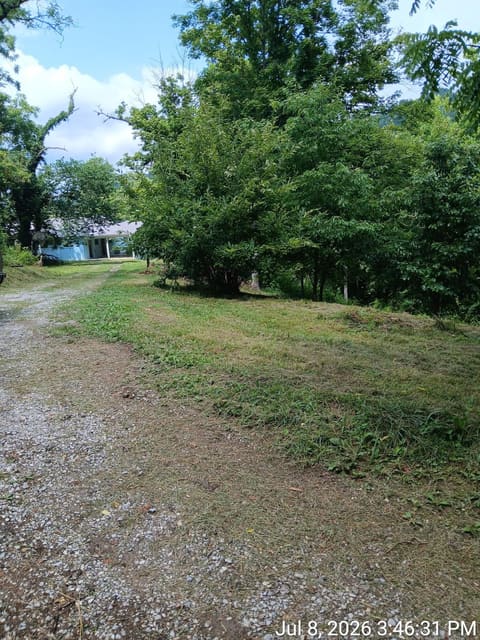 1847 KY-979, Harold, KY 41635 — photo 5