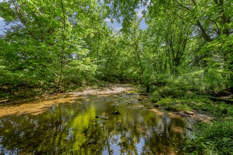 953 Holly Springs Drive, Lexington, KY 40504 — photo 4