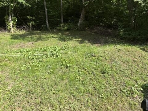 93 Schoolhouse Hollow Road, David, KY 41616 — photo 3
