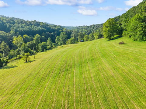 1435 Clover Bottom Creek Road, McKee, KY 40447 — photo 2