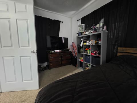 313 Stanford Street, Science Hill, KY 42553 — photo 5