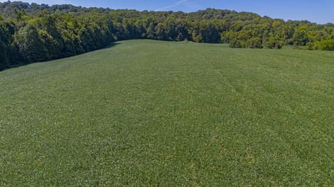 000 Cecil Croft Road, Salem, KY 42078 — photo 2