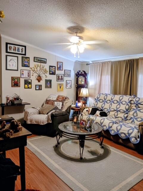 13475 Hwy 191 191, Hazel Green, KY 41332 — photo 3