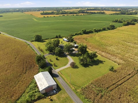 1332 Batts Road, Wickliffe, KY 42087 — photo 3