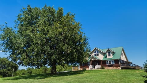 7033 Polecat Pike, Maysville, KY 41056 — photo 5