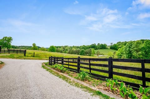 2311 KY-3630, Tyner, KY 40486 — photo 4