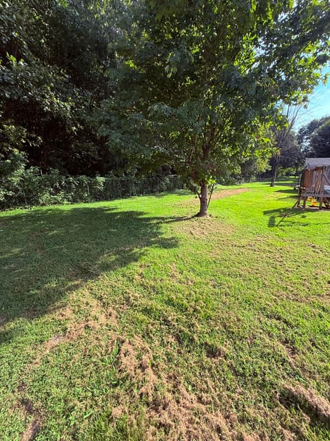1025 Woodside Drive, Bardstown, KY 40004 — photo 5