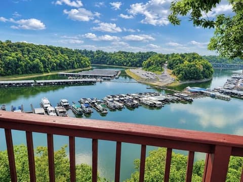1219 Hideaway Drive, Somerset, KY 42503 — photo 3