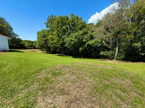 590 Webb Road, Irvine, KY 40336 — photo 5