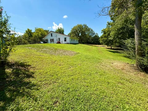 590 Webb Road, Irvine, KY 40336 — photo 4