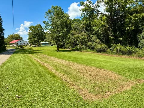 590 Webb Road, Irvine, KY 40336 — photo 2