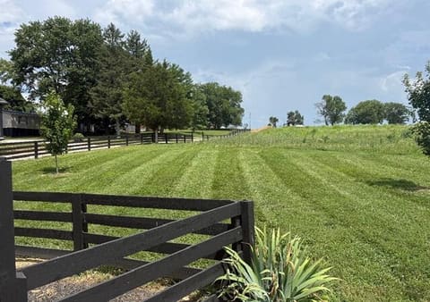 127 Jacksboro Rd Road, Bronston, KY 42518 — photo 2