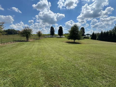 48 Add Shepherd Road, Russell Springs, KY 42642 — photo 5