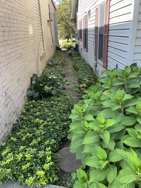 232 W Main Street, Carlisle, KY 40311 — photo 5
