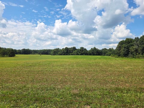 3557 Mill Creek Road, Owingsville, KY 40360 — photo 5