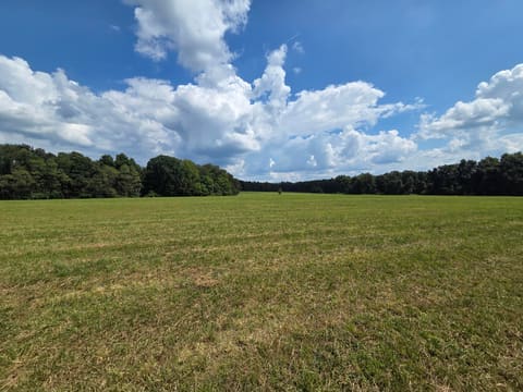 3557 Mill Creek Road, Owingsville, KY 40360 — photo 4