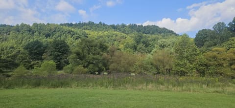 21267 State Highway 190, Frakes, KY 40940 — photo 5