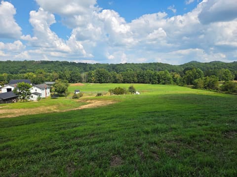 3557 Mill Creek Road, Owingsville, KY 40360 — photo 2