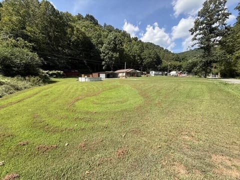 126 Feds Creek Dicks Fork, Fedscreek, KY 41524 — photo 4