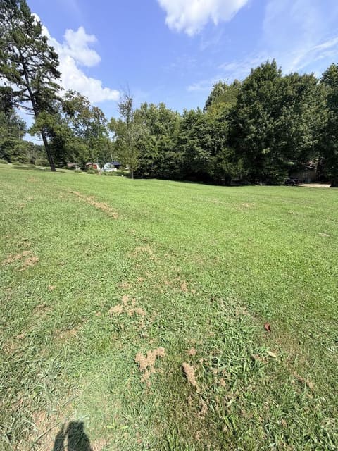 107 Ross Branch, Flat Gap, KY 41219 — photo 4