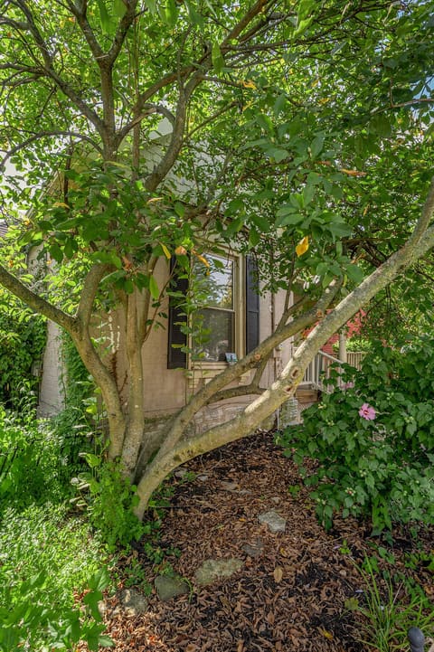 238 E Fourth Street, Lexington, KY 40508 — photo 4