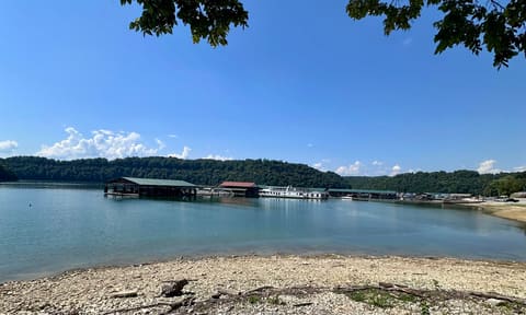 5400 Wolf River Dock Road, Albany, KY 42602 — photo 3