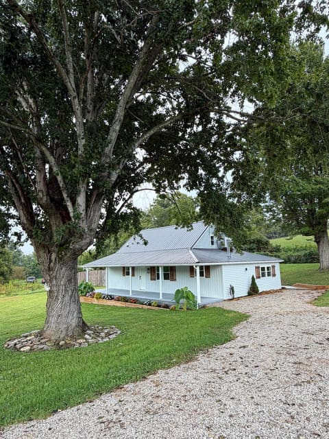 224 224 State Highway 746, Frenchburg, KY 40322 — photo 3