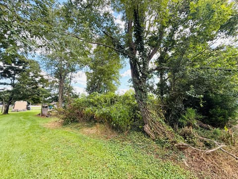 540 Bondville Road, Salvisa, KY 40372 — photo 4