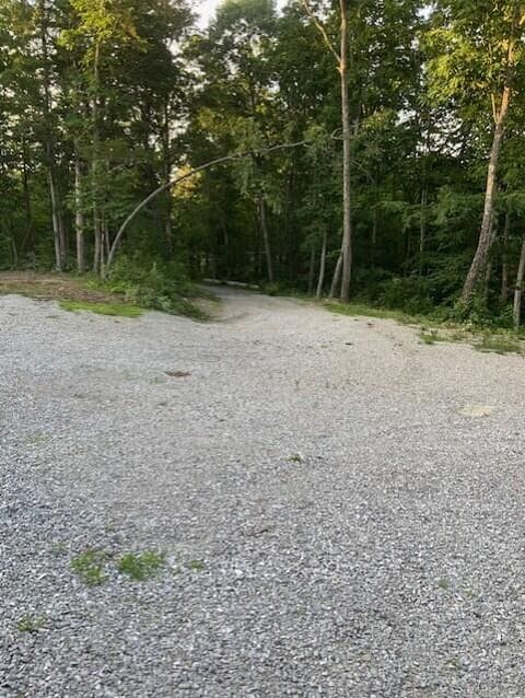 12568 N U.S. Hwy 127, Albany, KY 42602 — photo 5