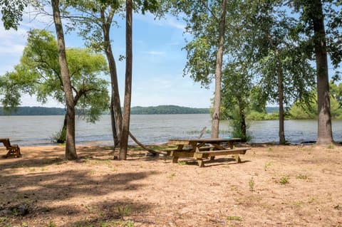 228 Apache Trail, Cadiz, KY 42211 — photo 3