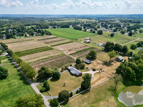 375 Thomas Lane, Hustonville, KY 40437 — photo 3