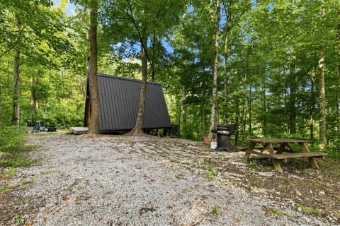 002 Forest Road 4005, London, KY 40744 — photo 3