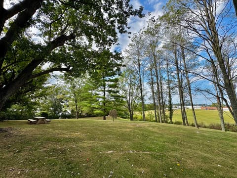85 Florence Lane, Somerset, KY 42501 — photo 4