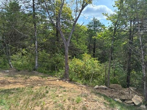 306 286 Parsons Ln Lane, Harrodsburg, KY 40330 — photo 5
