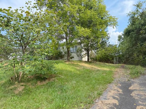 125 KY Hwy 3276 Road, Waynesburg, KY 40489 — photo 3