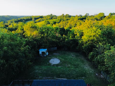 344 W Walnut Street, Mount Olivet, KY 41064 — photo 4