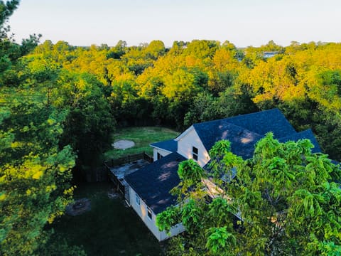 344 W Walnut Street, Mount Olivet, KY 41064 — photo 5
