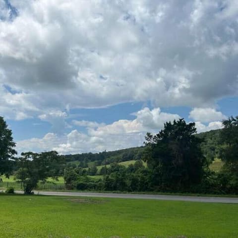 963 Sugar Valley Road, Albany, KY 42602 — photo 3
