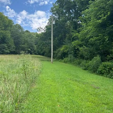 963 Sugar Valley Road, Albany, KY 42602 — photo 4